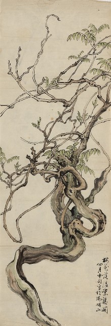 藏品:櫻花落後紫藤開的(1)張圖片