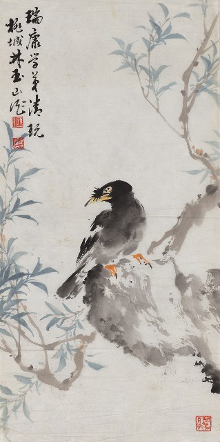 藏品:柳石八哥的(1)張圖片