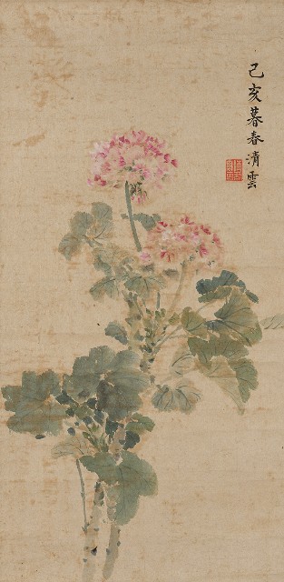 藏品:花的(1)張圖片