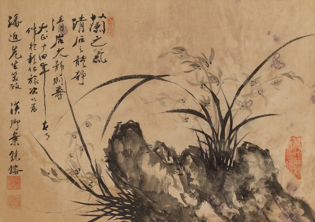 藏品:蘭花的(1)張圖片