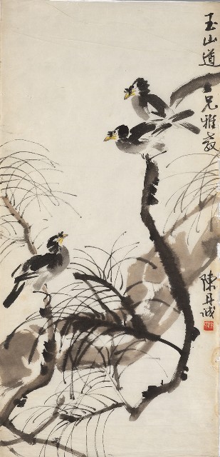 藏品:柳樹八哥的(1)張圖片