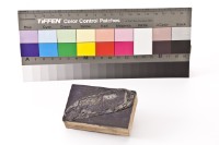 台金礦物地質印章8藏品圖，第4張