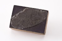 台金礦物地質印章10藏品圖，第3張