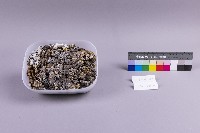 白鐵礦(marcasite)藏品圖，第1張