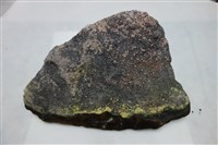 含化石之岩石藏品圖，第1張