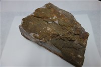 矽化砂岩藏品圖，第1張