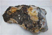矽化砂岩藏品圖，第1張
