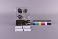 拆解前原料藏品圖，第3張