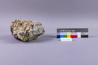 黏土化安山岩藏品圖，第1張