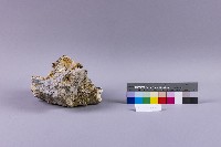 黏土化安山岩藏品圖，第3張