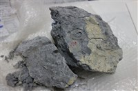 黏土化頁岩藏品圖，第1張