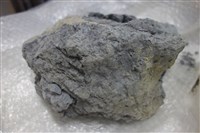 黏土化頁岩藏品圖，第1張