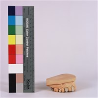 假牙藏品圖，第1張