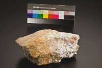 樹梅金礦矽化砂岩(黃色)藏品圖，第1張