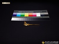 老人家髮簪(女兒送)藏品圖，第1張