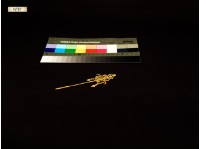 杖針藏品圖，第2張