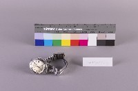 男用自動手錶藏品圖，第2張