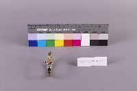 女用自動手錶藏品圖，第1張