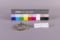 女用自動手錶藏品圖，第2張