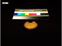 鎖片藏品圖，第1張