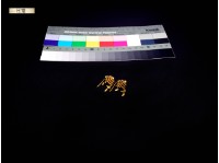 耳環一對藏品圖，第2張