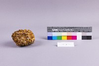 水金九產礦石組藏品圖，第12張