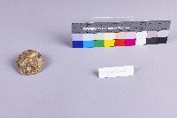 水金九產礦石組藏品圖，第14張