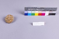 水金九產礦石組藏品圖，第15張