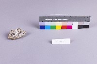 水金九產礦石組藏品圖，第16張