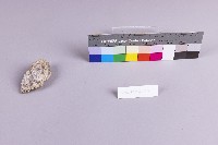 水金九產礦石組藏品圖，第17張