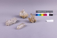 水金九產礦石組藏品圖，第19張