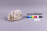 水金九產礦石組藏品圖，第20張