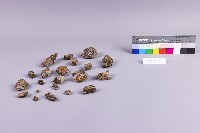 水金九產礦石組藏品圖，第2張