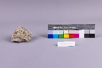 水金九產礦石組藏品圖，第4張