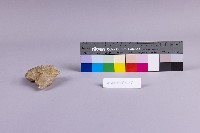 水金九產礦石組藏品圖，第8張