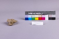 水金九產礦石組藏品圖，第9張