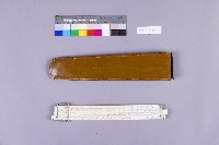 測量尺藏品圖，第2張