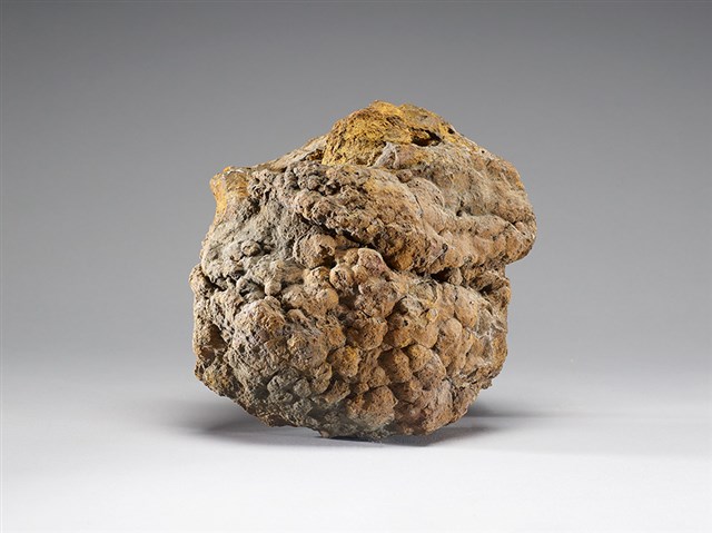 褐鐵礦(limonite)的圖片