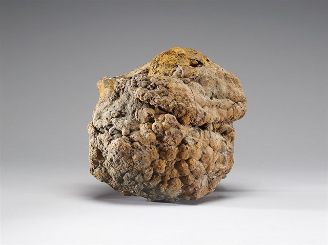 褐鐵礦(limonite)