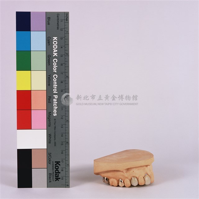 假牙藏品圖，第1張