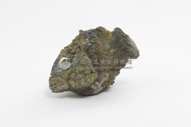 硫砷銅礦(enargite)藏品圖，第2張