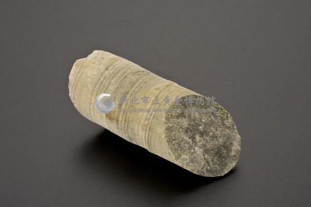 岩心藏品圖，第2張