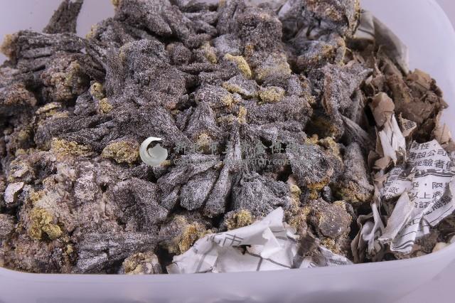 白鐵礦(marcasite)藏品圖，第2張