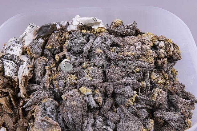 白鐵礦(marcasite)藏品圖，第2張