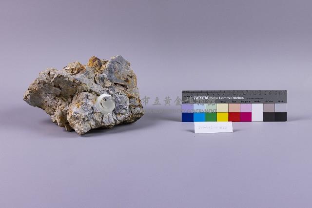 黏土化安山岩藏品圖，第2張