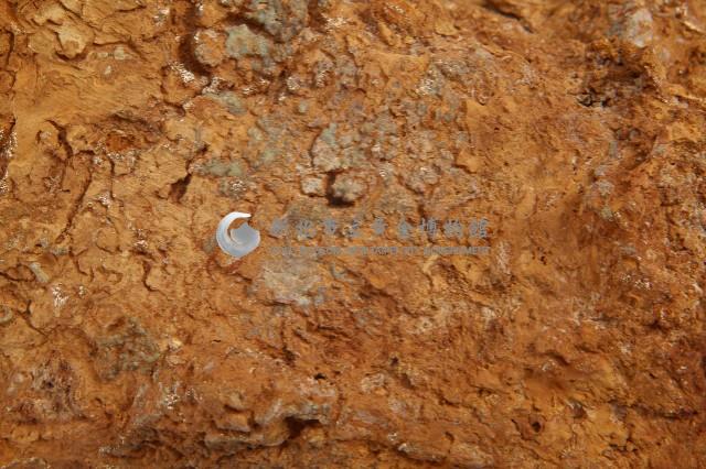 風化礦石藏品圖，第4張