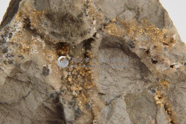 人造金礦石藏品圖，第3張