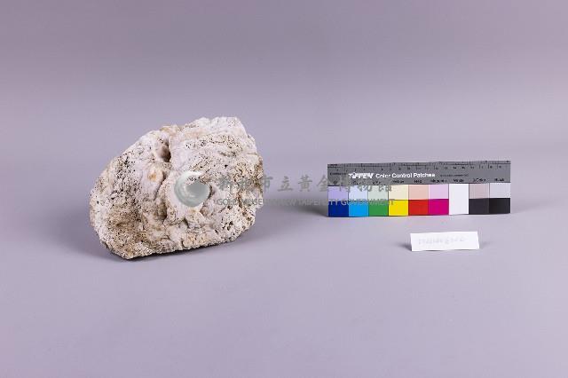 水金九產礦石組藏品圖，第20張