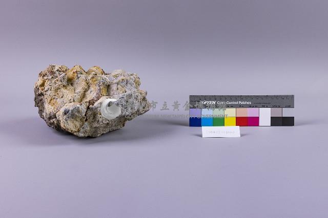 黏土化安山岩藏品圖，第1張