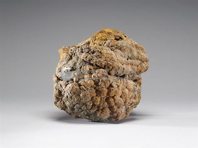 褐鐵礦(limonite)藏品圖，第1張